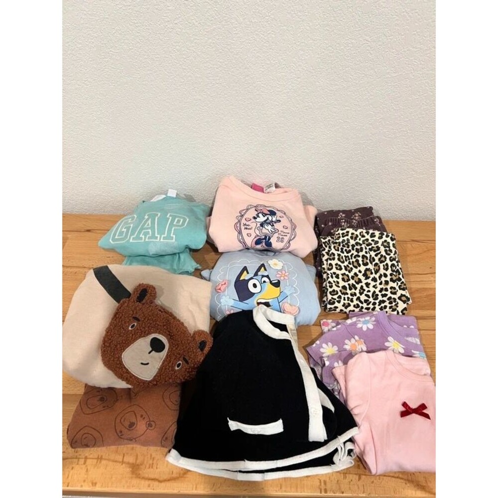 Baby girl clothing lot. 12 pieces. 24 M